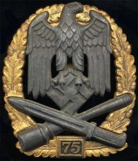 Знак "За участие в общих штурмовых атаках" 75 атак