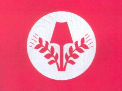 Флаг RAD (1931 – 1935)
